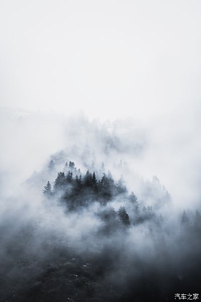 迷雾森林,雾气和大雪,笼罩这山林,神秘的氛围也开始逐渐揭开她的面纱.