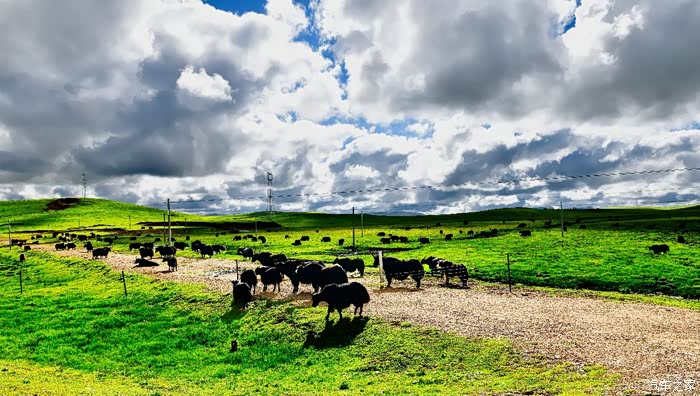 大草原情歌简谱_呼伦贝尔大草原简谱(2)