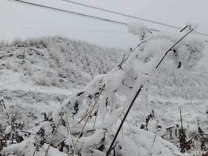 甘肃池坝雪景