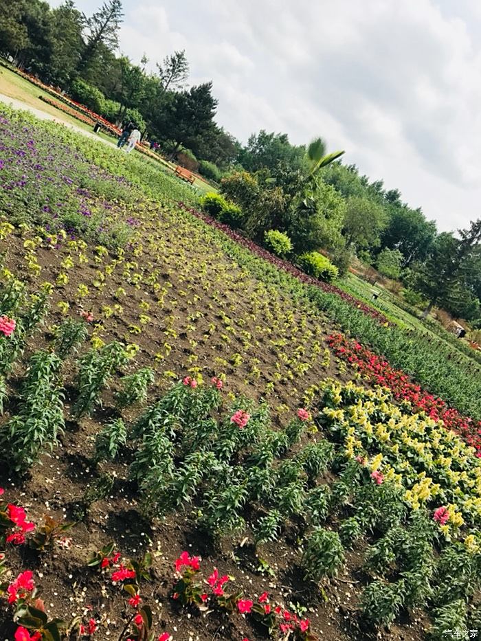 繁花似锦之长春"百花园"