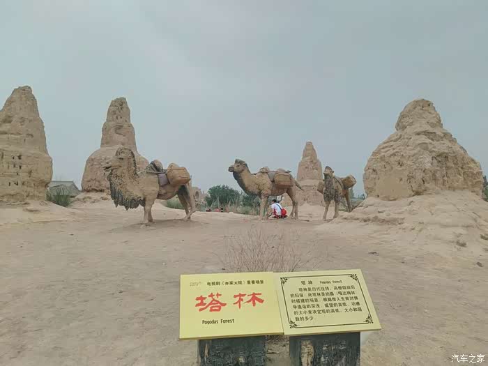 2020上半年西北五省G_西北五省地图