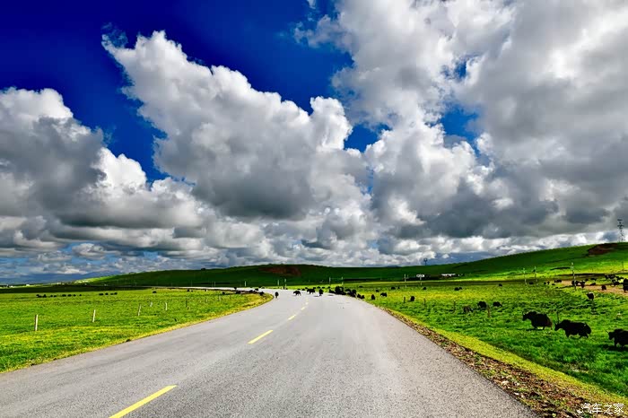 大草原情歌简谱_呼伦贝尔大草原简谱(3)