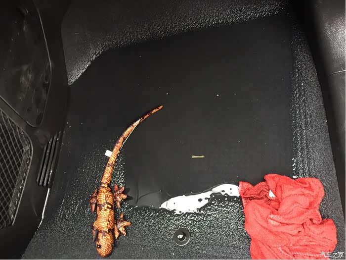 【图】求大神帮忙,大科下雨被淹了,已经晾了一