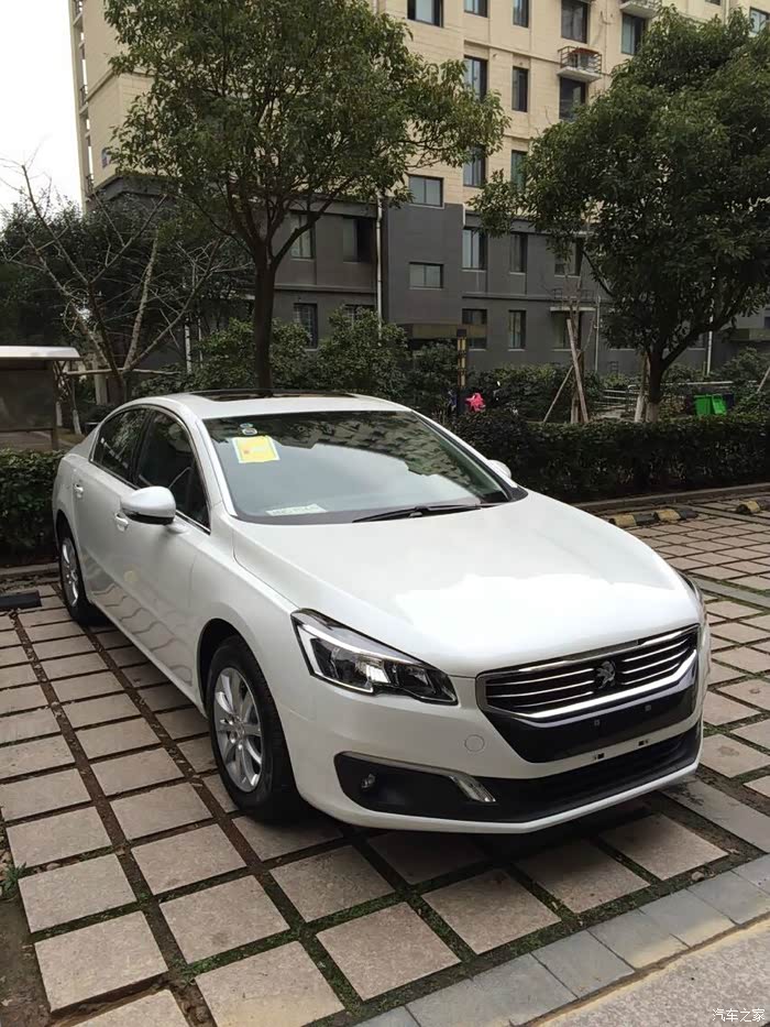 【图】我的大白狮和狮子座男友_标致508论坛