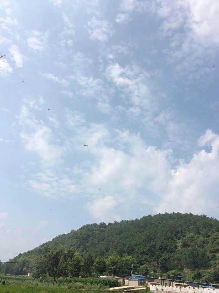 南妮湾简谱_怪鸭历险记南妮图片