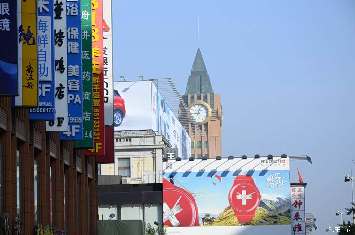 【图】在城市里与绿色的一场约会,文化展上的