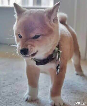 【图】老铁们,你们基本工资是多少?_北京论坛