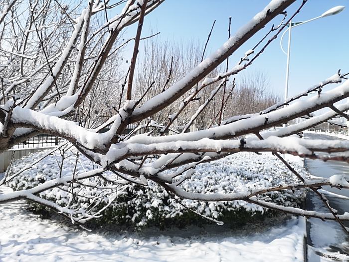 2021年的第一场雪