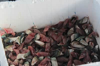 【马代进入紧急状态】记带上爸妈的4人马代之