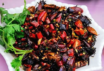 热天过去,现在天天太阳,人都搬打屁虫《学名,九