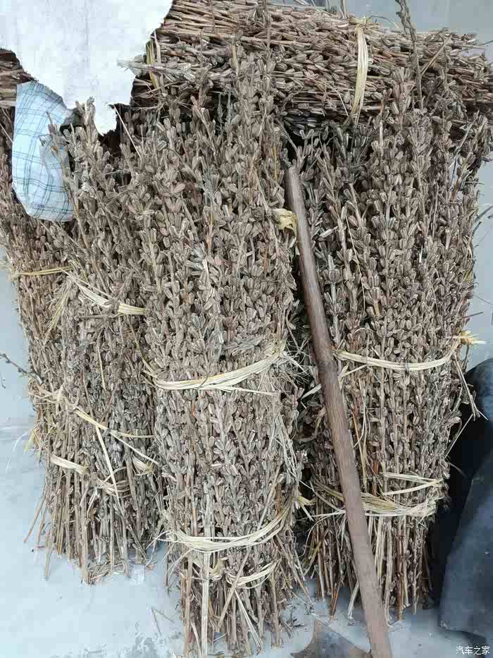 【图】悄悄滴进村,打枪滴不要_四川论坛_汽车