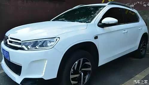 【图】幸福就像花季 开到荼靡_雪铁龙C3-XR论