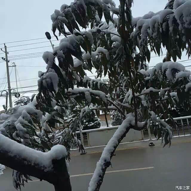 【图】大家看看走按揭划算还是直接刷信用卡划