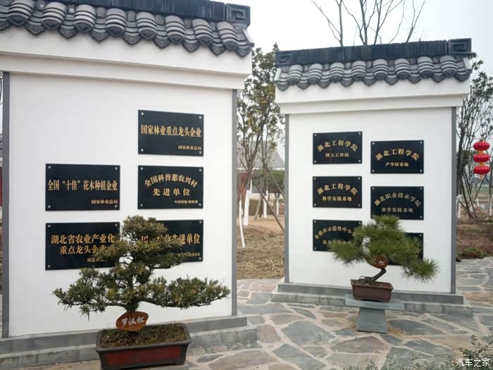 【图】陪媳妇、儿子孝感金卉庄园踏春赏花之行