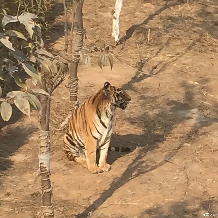 【图】车的爱护,谁与我争锋!_五菱宏光论坛_汽