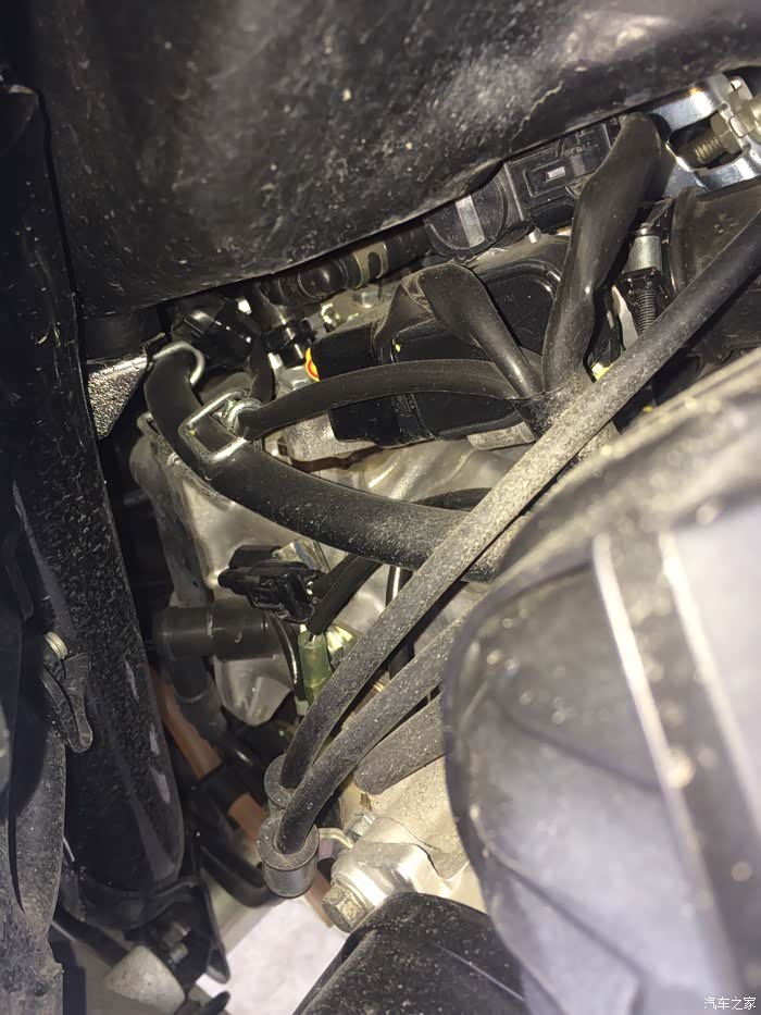 【图】本田pcx150