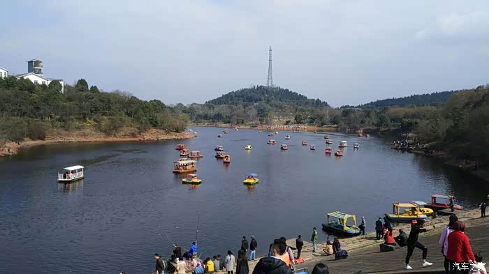 【图】老阿訇带带我,新手是不是都爱路口抢灯