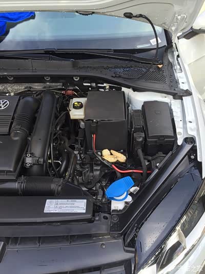 屌爆了,发动机仓被老鼠安了个窝_高尔夫论坛_