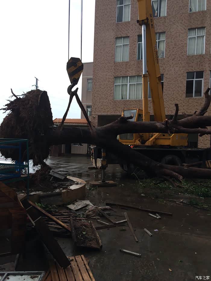 【图】湛江台风过后!_宝骏560论坛