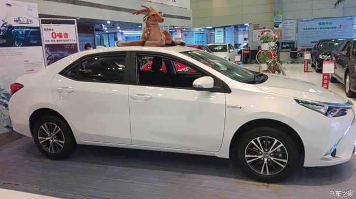 【图】陪同事看雷凌·双擎 果然比我家小白牛