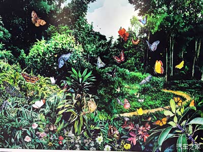 再游港澳,自由行+全程手机拍照,渣像素记录的