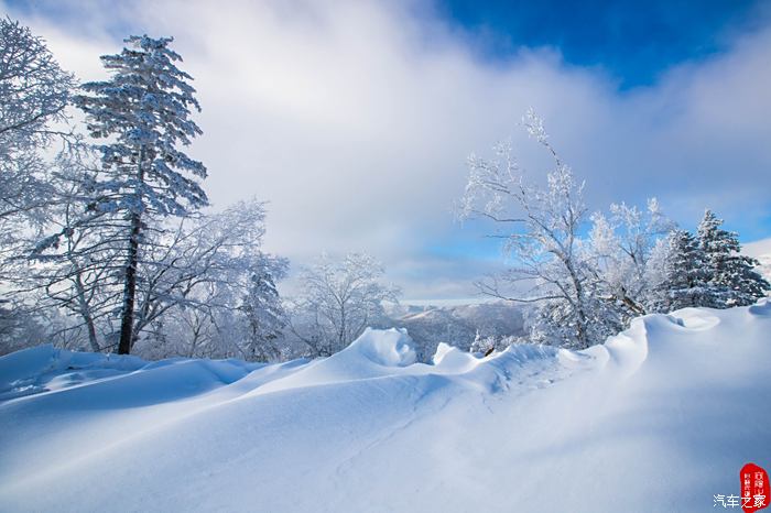 雪乡高清图