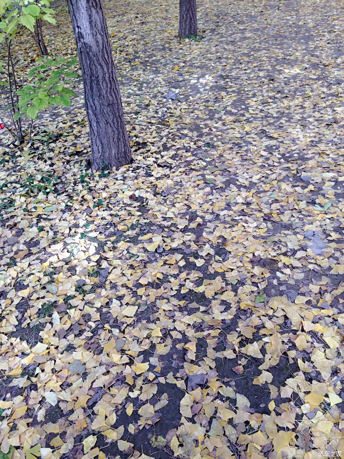 【图】北京奥林匹克公园+中国地质博物馆自由