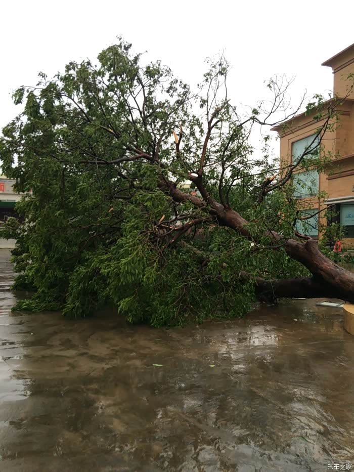 【图】湛江台风过后!_宝骏560论坛