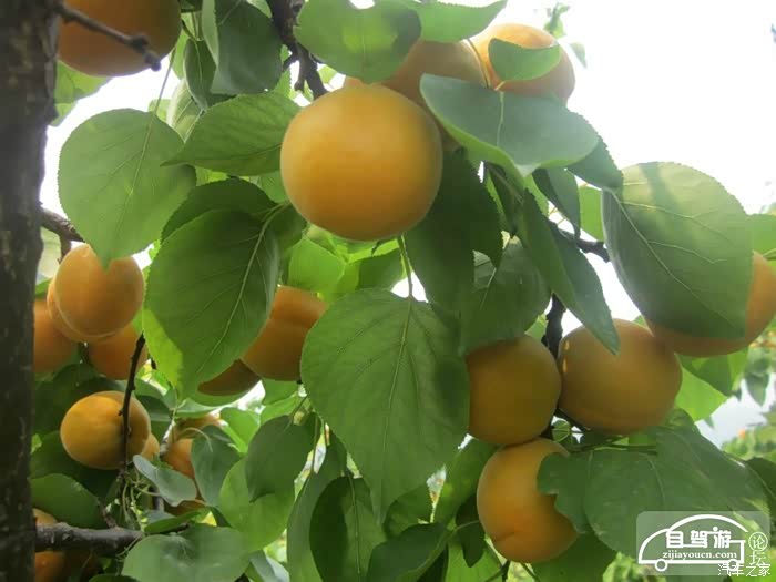 【图】珠海驾车自由行 情侣路 渔女像 美丽的海