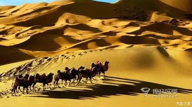 【图】9.29-10.10 青岛-内蒙-新疆自驾游 走最美