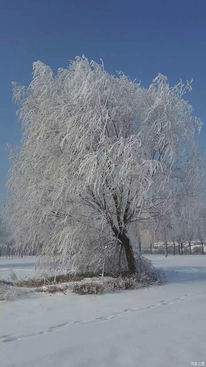 北方的冬天 雪景