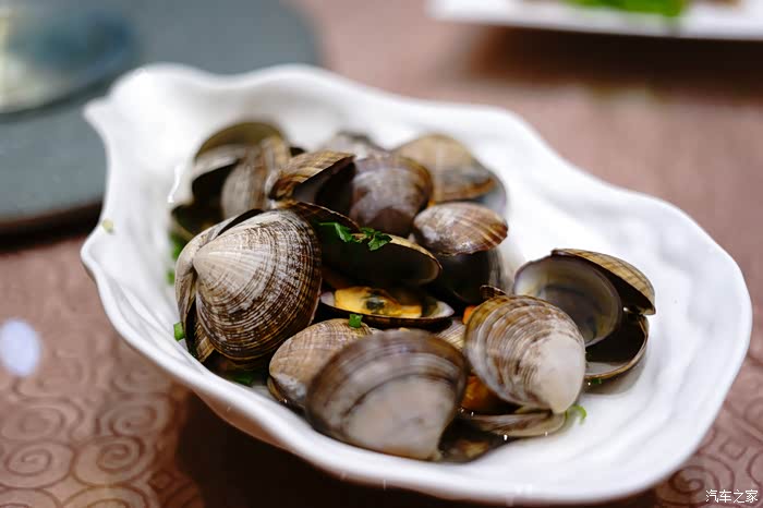 【图】祝贺汽车之家大连雷克萨斯RX车友会首