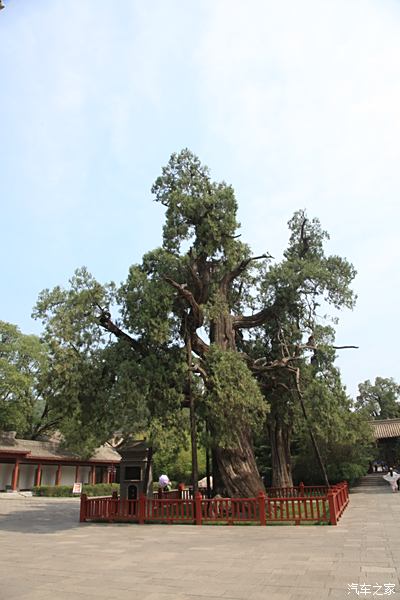 游览黄帝陵景区