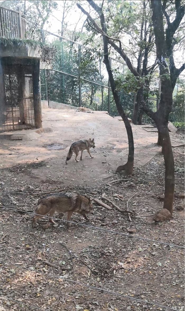 南京红山森林动物园