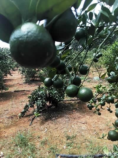 买了560不久,有没有志愿者去贫困山区慰问呢?