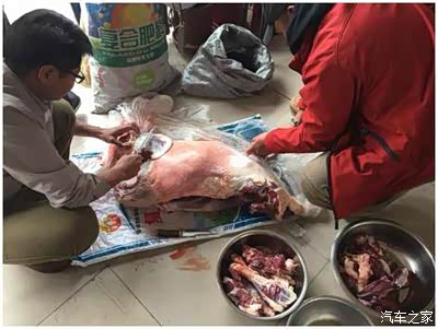 租车自驾出去玩,再也不用在加油站着急上火啦