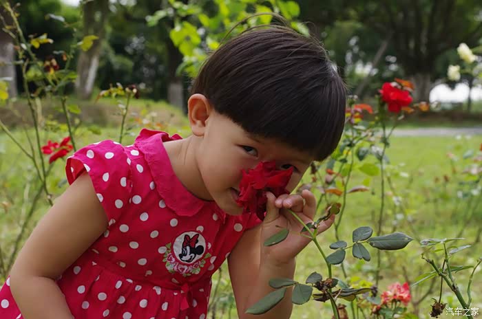 轻风徐来是什么意思啊 500_wKgH41X1rgWAO7DXAAK7AaoYSyM195.jpg