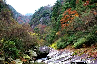 平武老河沟自然保护区的红叶季