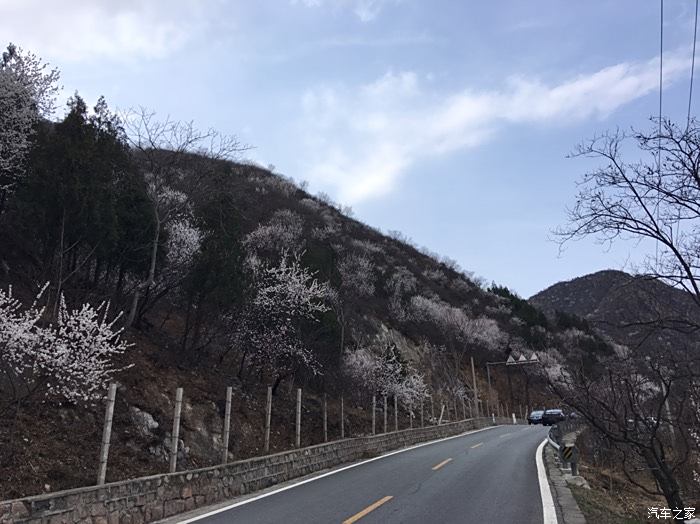 转来的怀长路桃花路