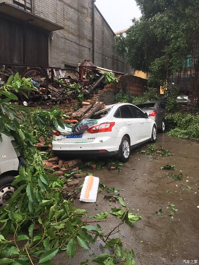 【图】我的小福,厦门台风,保险定损员电话打不