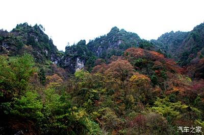 平武老河沟自然保护区的红叶季