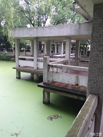 十五分钟补好驾照(沁春路)_上海