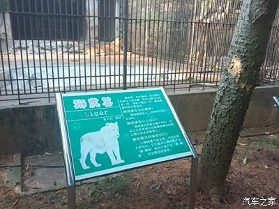 孤身进森林 屌丝圆梦茂名森林公园 动物园篇