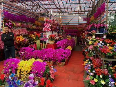 2017 广东中山沙岗墟迎春花市今天开街