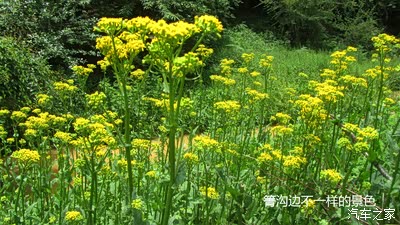 【图】【昆明周边自驾一日游】端午节徒步寻甸