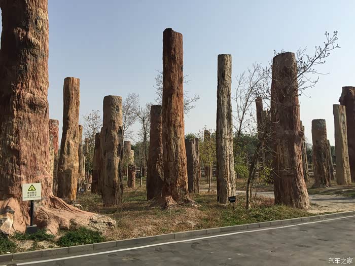 【图】【十月去新疆】第三波:探访新疆古生态