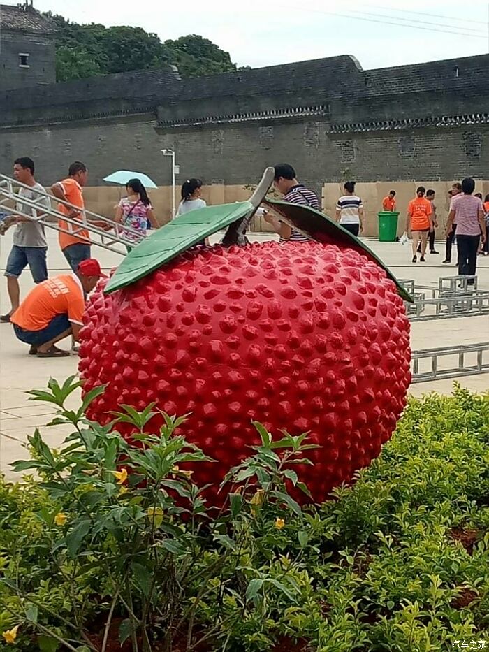 2017.灵山荔枝节即将开始