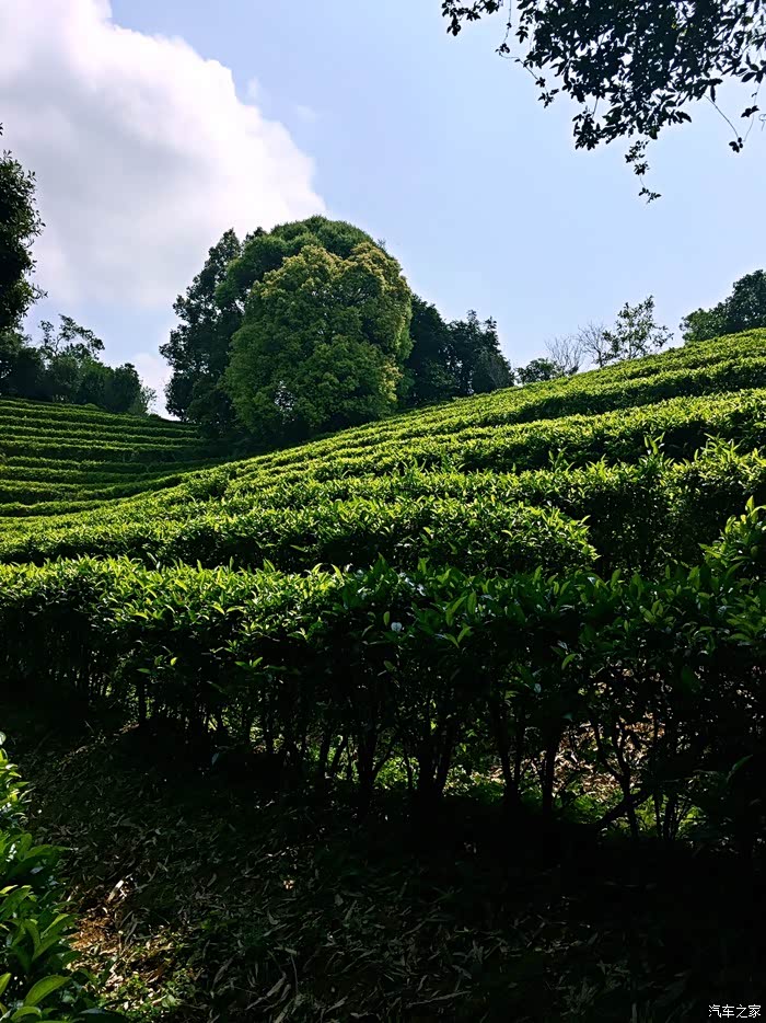 【图】东部华侨城一日游