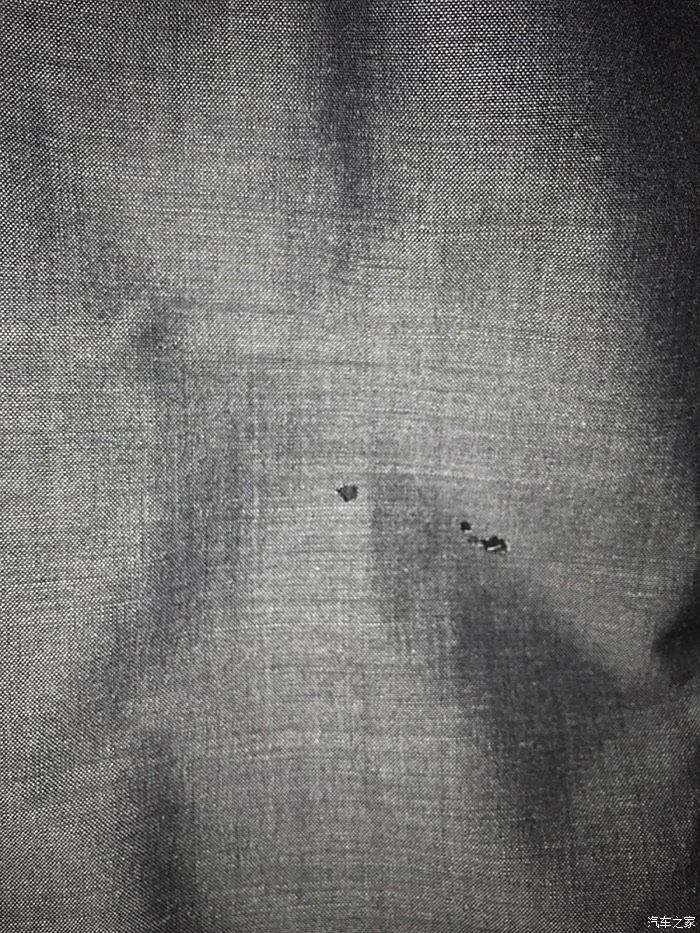 【图】西裤被老鼠咬了破洞怎么办。能修补吗?