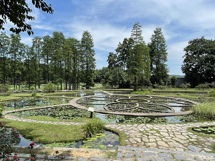 炎炎夏日走进武汉植物园